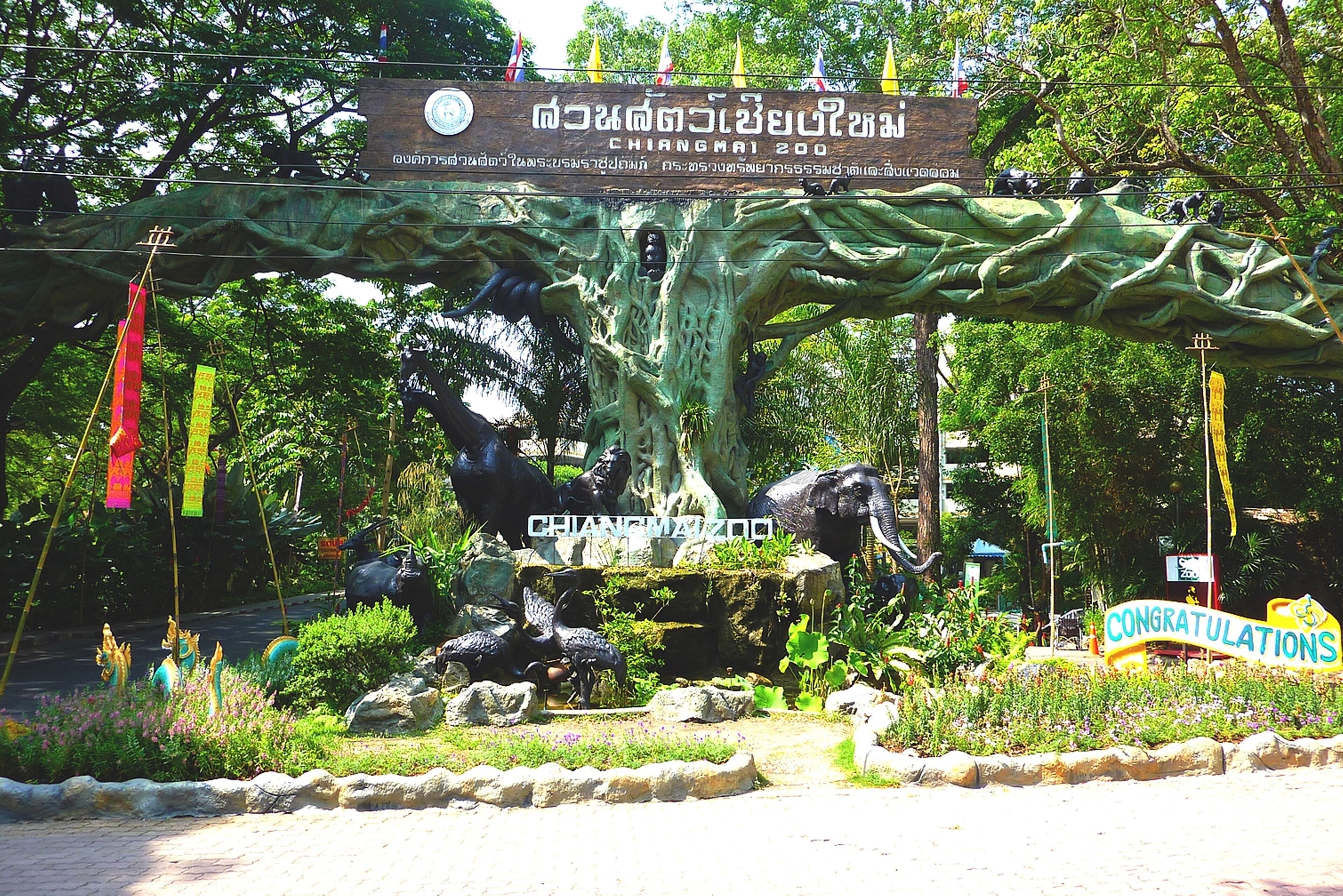 The Greenery Central Suite & Hotel — Photos 1